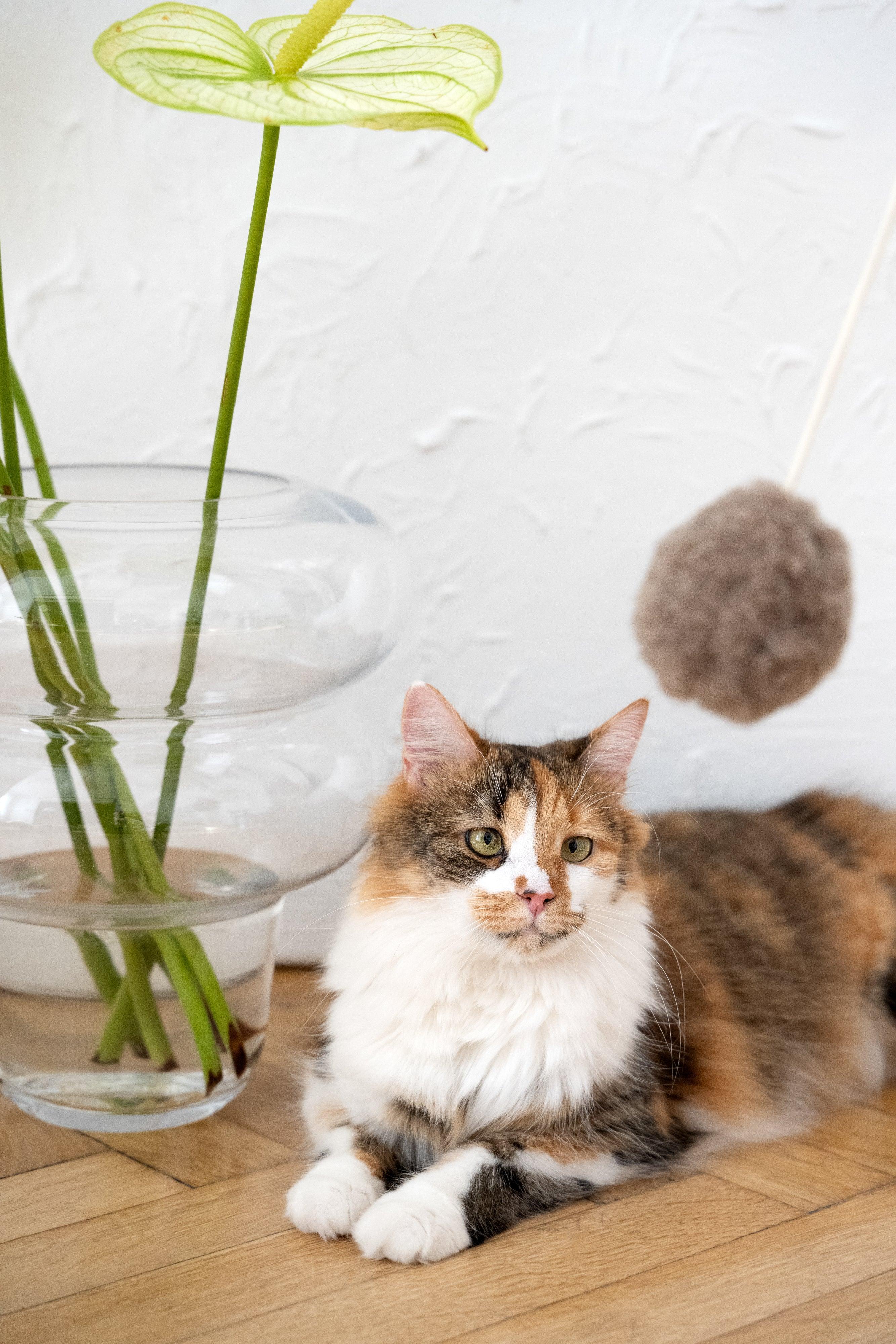 Natural Woolen Cat Toy: Ball-0