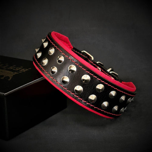 "Boston" collar - Friendly Paw