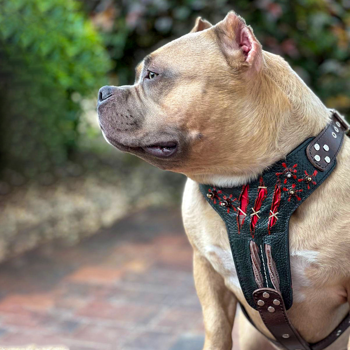 The ''Haunted'' harness LIMITED-3