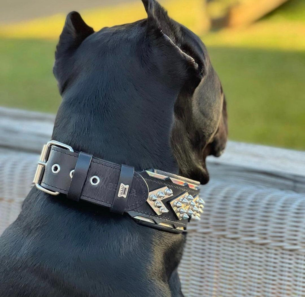 Der „Midas“ Halsband Silber