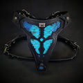 The ''Morelia Python'' harness Medium Size-0