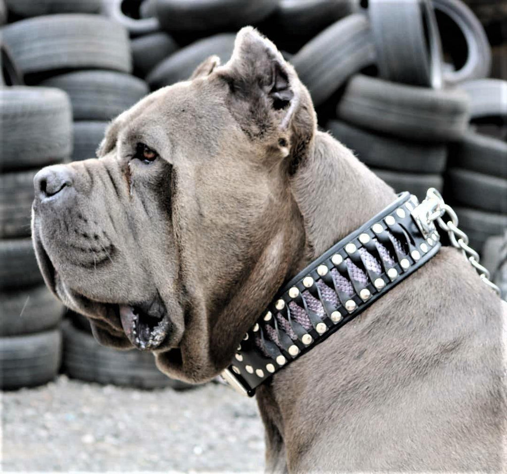 The ''Steampunk'' collar exclusive design-2